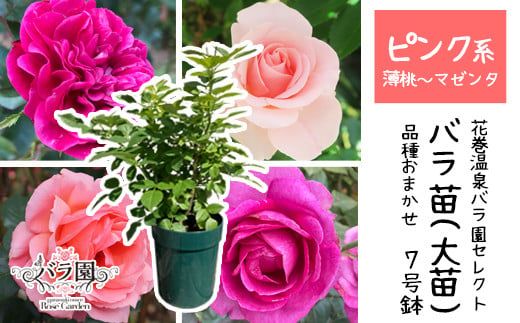 y茧ԊszԊoňuocv7TCY -sN- y1660z