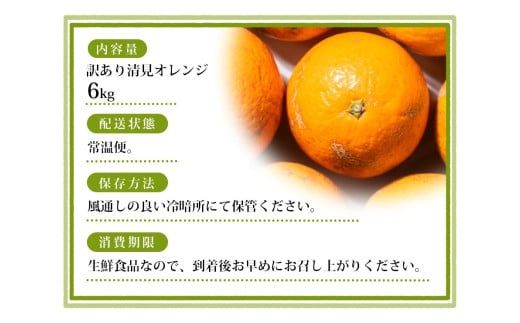 【訳あり】手選別 清見オレンジ 約6kg 和歌山県産 2S~2Lサイズ混合※2026年2月上旬～5月中旬頃に順次発送【mrmt024A】