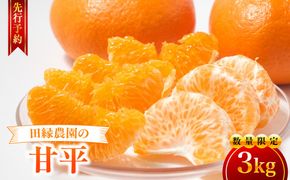 【先行予約】【数量限定】田縁農園の甘平（かんぺい）3kg ※離島への配送不可 （2027年1月25日より順次発送） IKTA016