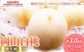 桃 2026年 先行予約 岡山の 白桃 (晩生種) 約3.0kg 10～12玉 もも 岡山県 赤磐市産 フルーツ 果物 あかいわファーマーズガーデン デザート 旬の果物 旬のフルーツ