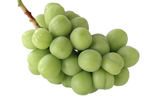 桃 ぶどう 2026年 先行予約 清水白桃 3玉合計 約900g（1玉約300g） シャインマスカット 晴王 1房 550g以上 詰合せ 白桃 もも 葡萄 ブドウ シャイン マスカット 岡山県産 国産 フルーツ 果物 桃茂実苑