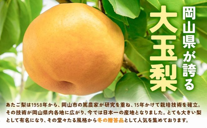 【2026年先行予約】あたご梨 選べる内容量 約1.7kg (2玉) 約4kg (3-6玉) 化粧箱入り 株式会社山博《11月下旬-12月下旬頃出荷》岡山県 笠岡市 なし 梨 ナシ 愛宕梨 果物 大玉 岡山県産 国産 送料無料【配送不可地域あり】---Y-37a---
