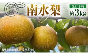 【 先行予約 】茨城県産 梨 南水 約3kg 7玉～9玉 ( 茨城県共通返礼品 : 常陸太田市 )【 2026年 9月中旬頃より発送 】 フルーツ 果物 国産 日本産 梨 ナシ なし 和梨 期間限定 数量限定