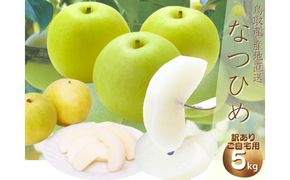 【数量限定】鳥取県産 梨 訳あり ご自宅用 なつひめ 5kg 312011_FT007