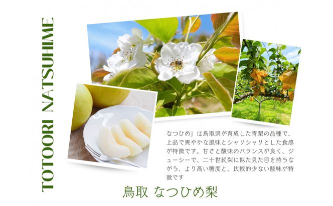 【数量限定】鳥取県産 梨 訳あり ご自宅用 なつひめ 5kg 312011_FT007