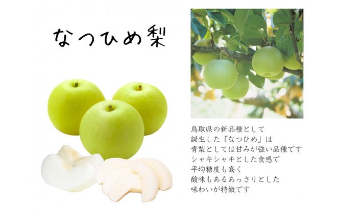 【数量限定】鳥取県産 梨 訳あり ご自宅用 なつひめ 5kg 312011_FT007