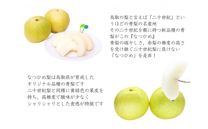 【数量限定】鳥取県産 梨 訳あり ご自宅用 なつひめ 5kg 312011_FT007