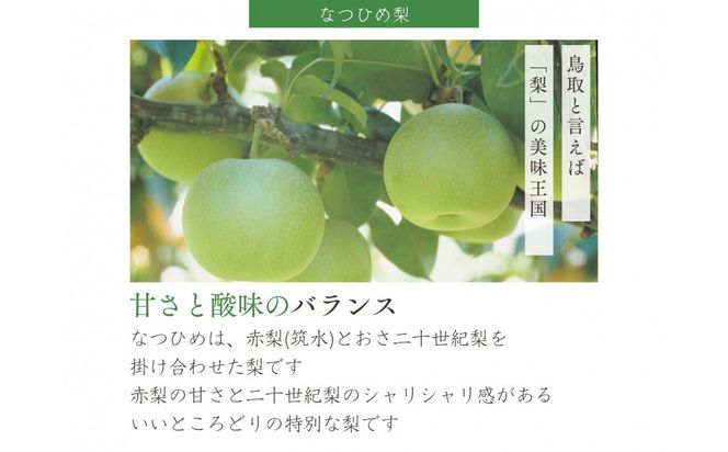 【数量限定】鳥取県産 梨 訳あり ご自宅用 なつひめ 5kg 312011_FT007