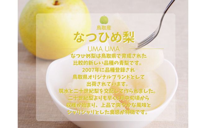 【数量限定】鳥取県産 梨 訳あり ご自宅用 なつひめ 5kg 312011_FT007