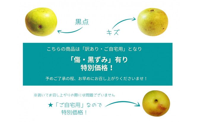 【数量限定】鳥取県産 梨 訳あり ご自宅用 なつひめ 5kg 312011_FT007