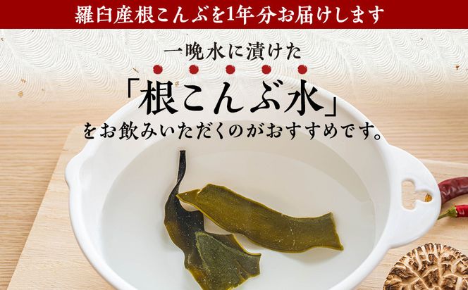 まいにち根こんぶ 1年分 生産者 支援 応援 016942_AJ024