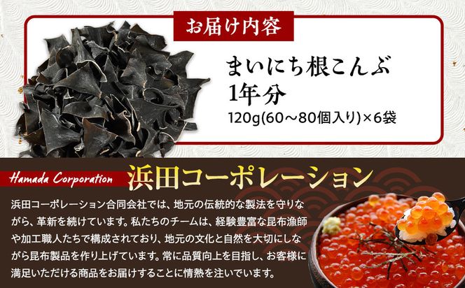 まいにち根こんぶ 1年分 生産者 支援 応援 016942_AJ024