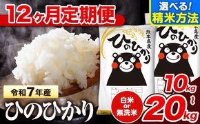 令和7年産 【12ヶ月定期便】無洗米 も選べる 白米 米 ひのひかり  10kg  15kg  20kg 《お申込み翌月から出荷》熊本県 氷川町 国産 熊本県産 白米 精米 無洗米 送料無料 ヒノヒカリ こめ お米 ---hn7tei_294000_10kg_mo12_hkw_h---