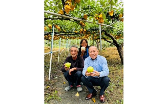 梨とらっきょうで作ったディップ 3種×7個セット 312011_FN003