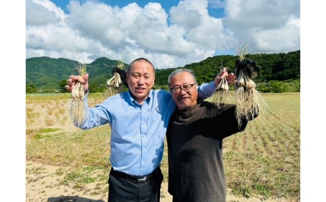 梨のフルーツらっきょう 75g×10個 312011_FN004