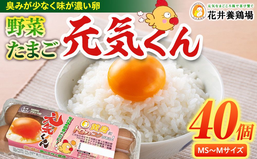 愛され続けて30年 「野菜たまご 元気くん」(40個) 日々のお料理がワンランクアップ!! 232238_EE25