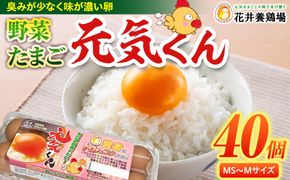 愛され続けて30年 「野菜たまご 元気くん」（40個） 日々のお料理がワンランクアップ!! 232238_EE25
