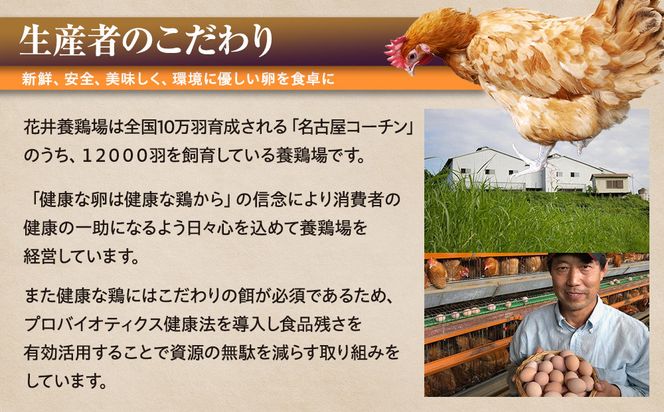 愛され続けて30年 「野菜たまご 元気くん」（40個） 日々のお料理がワンランクアップ!! 232238_EE25