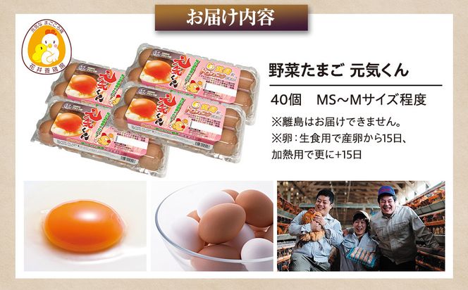 愛され続けて30年 「野菜たまご 元気くん」（40個） 日々のお料理がワンランクアップ!! 232238_EE25