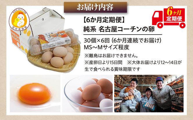 【6か月定期便】日本三大地鶏！！ 「純系　名古屋コーチンの卵」（30個） 本当に美味しい食べ物は調味料の味に負けません！ 232238_EE27-PR