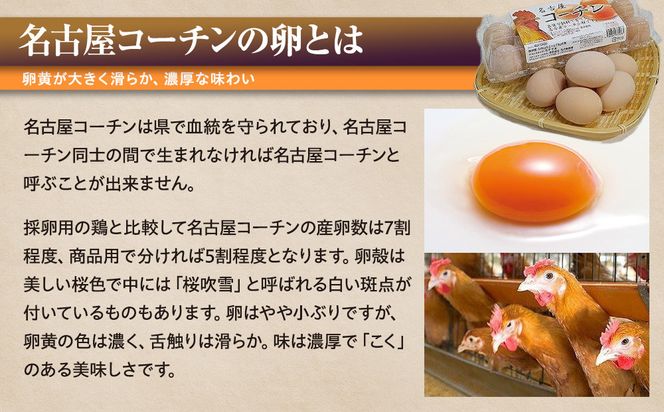 【12か月定期便】日本三大地鶏！！ 「純系　名古屋コーチンの卵」（30個） 本当に美味しい食べ物は調味料の味に負けません！ 232238_EE28-PR