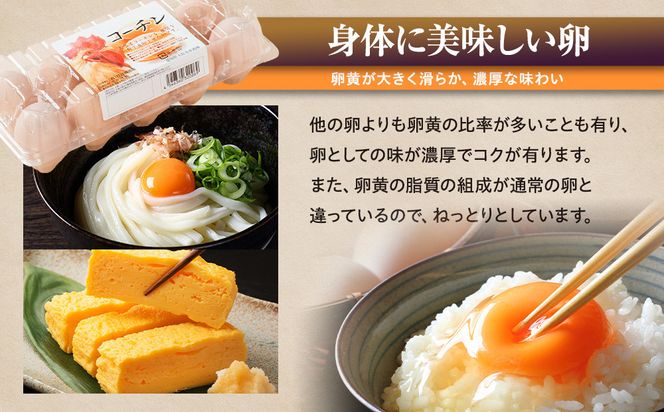 【12か月定期便】日本三大地鶏！！ 「純系　名古屋コーチンの卵」（30個） 本当に美味しい食べ物は調味料の味に負けません！ 232238_EE28-PR