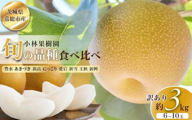【訳アリ！先行予約】小林果樹園の梨 6～10玉 約3kg　※2026年9月～発送