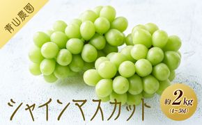 【先行予約】【数量限定】 シャインマスカット 約2kg 〔2026年8月上旬より順次発送〕 232238_CU002