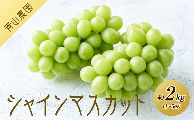 【先行予約】【数量限定】 シャインマスカット 約2kg 〔2026年8月上旬より順次発送〕 232238_CU002
