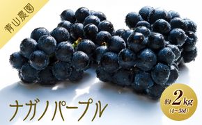 【先行予約】【数量限定】ナガノパープル 約2kg 〔2026年8月上旬より順次発送〕 232238_CU003