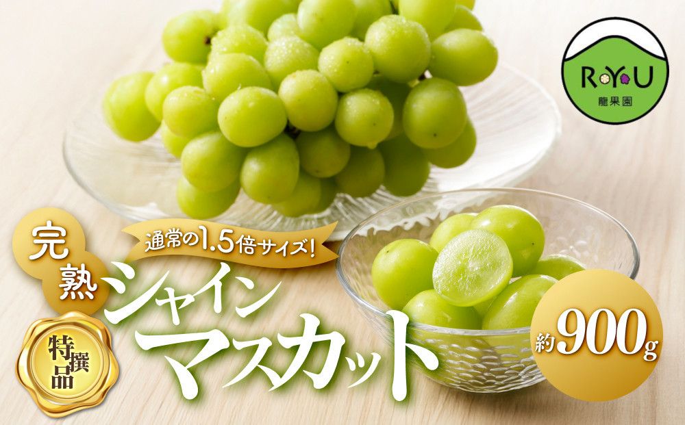通常の1.5倍サイズ!良味・大房! 完熟シャインマスカット(特撰品)900g 232238_BB28