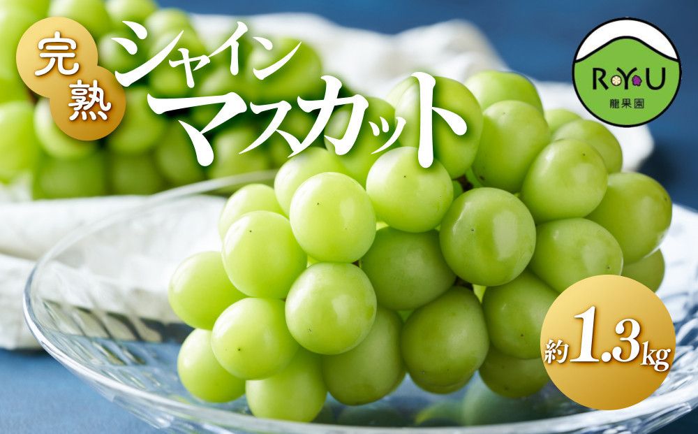完熟シャインマスカット(通常品) 1.3kg 232238_BB29