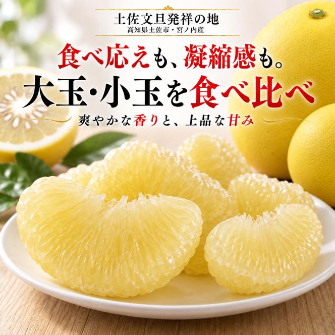 土佐文旦 大小混合 10kg 家庭用 大玉と小玉の詰め合わせ 日本ギフト大賞受賞 文旦発祥の地 園主こだわり 食べ比べ 高知県土佐市産 高知県産 国産 10キロ ぶんたん ブンタン みかん 柑橘類 高級フルーツ 果物 産地直送 お取り寄せ ギフト 季節限定 先行予約 やの一果彩[BQAC015]
