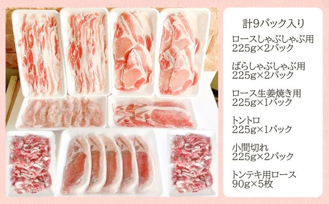 【京都特産ぽーく】旨さ詰まった京都ぽーく精肉セット［ 京都 ポーク 人気 おすすめ 肉 お肉 豚肉 ロースしゃぶ ばらしゃぶ ももしゃぶ 生姜焼き トントロ 小間切れ トンテキ 詰め合わせ セット お取り寄せ ギフト 通販 送料無料 ふるさと納税 ］ 261009_B-FL14