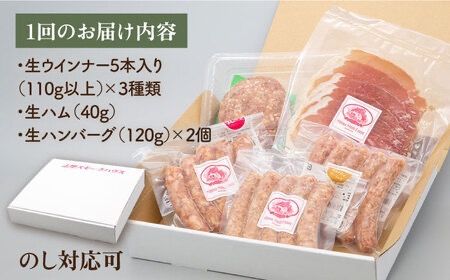 【全6回定期便】特製 生ハンバーグ 生ハム 生ウインナー 3種 セット 糸島市 / 志摩スモークハウス 肉 加工品 [AOA030]