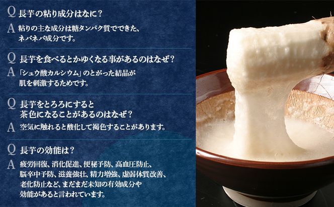 北海道 十勝の大地が育てたシャキシャキ食感と強い粘り 幕別産 長いも 2Lサイズ 5kg［木川商店］【 長いも 長芋 ながいも ナガイモ とろろ 芋 いも 野菜 10kg 5kg  産地直送 旬 濃厚 北海道 十勝 幕別 】