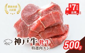 【最短7日以内発送】 神戸ビーフ 神戸牛 牝 特選肉スジ（角切りカレー煮込み用） 500g 川岸畜産 煮込み おでん カレー 冷凍 肉 牛肉 すぐ届く お肉 和牛 食材 グルメ ブランド牛 日本産 国産 夕飯 晩御飯 夜ごはん