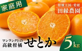 【先行予約】【家庭用】せとか 5kg｜ 柑橘 みかん ミカン フルーツ 果物 愛媛　※離島への配送不可　※2025年3月上旬～3月下旬頃に順次発送予定