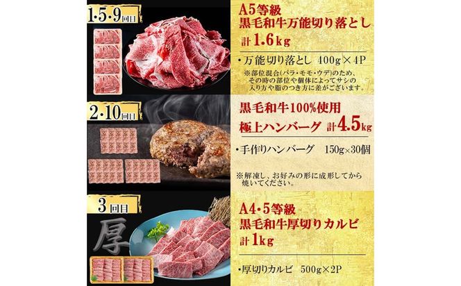 【定期便全12回】超豪華！黒毛和牛堪能贅沢定期便！(総重量19kg超) t0365-001