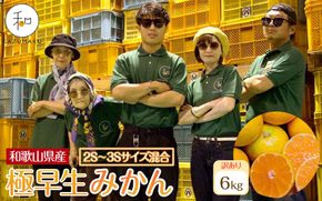 訳あり 森本農園の手選別 極早生小粒みかん 約6kg 和歌山県産 2S・3Sサイズ混合 ［北海道・沖縄・離島配送不可］［2026年10月上旬から順次発送］［RN56］ 303446_DJ90056