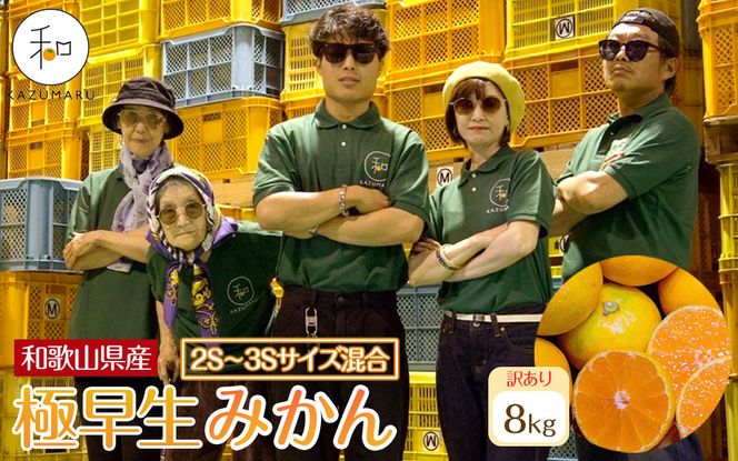 訳あり 森本農園の手選別 極早生小粒みかん 約8kg 和歌山県産 2S・3Sサイズ混合 ［北海道・沖縄・離島配送不可］［2026年10月上旬から順次発送］［RN57］ 303446_DJ90057