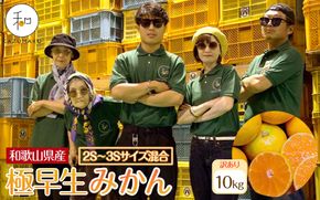 訳あり 森本農園の手選別 極早生小粒みかん 約10kg 和歌山県産 2S・3Sサイズ混合 ［北海道・沖縄・離島配送不可］［2026年10月上旬から順次発送］［RN58］ 303446_DJ90058