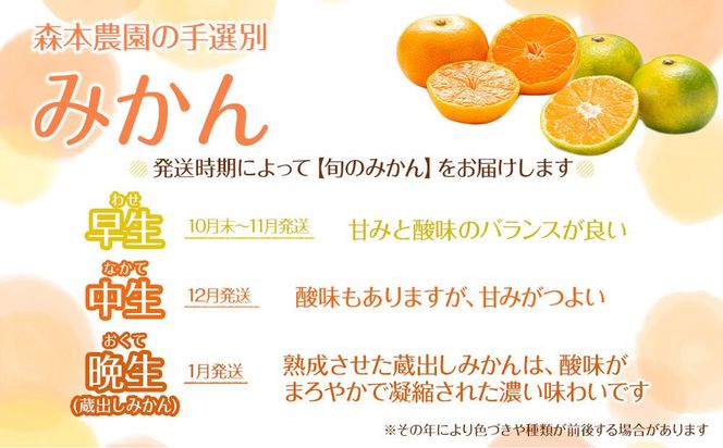 家庭用 森本農園の手選別 小粒みかん 約6kg 和歌山県産 2S・3Sサイズ混合 ［北海道・沖縄・離島配送不可］［2025年11月上旬から順次発送］［RN61］ 303446_DJ90061