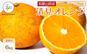 訳あり 森本農園の手選別 小粒清見オレンジ 約6kg 和歌山県産 2S～Mサイズ混合 ［北海道・沖縄・離島配送不可］［2026年2月上旬から5月中旬頃順次発送予定］［RN97］ 303446_DJ90097