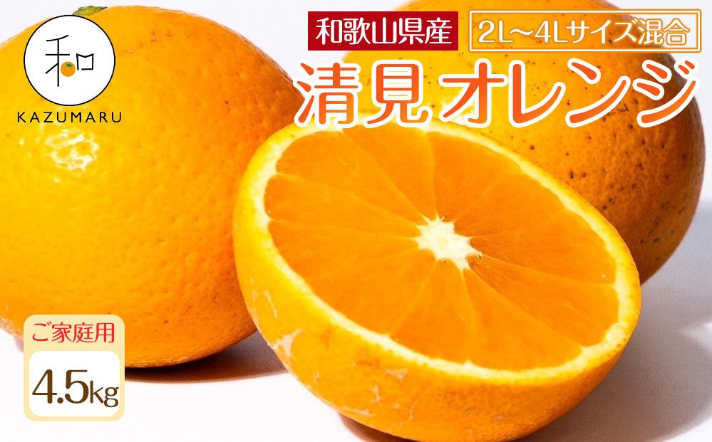 家庭用 森本農園の手選別 大玉清見オレンジ 約4.5kg 和歌山県産 2L~4Lサイズ混合 [北海道・沖縄・離島配送不可][2026年2月上旬から5月中旬頃順次発送予定][RN100] 303446_DJ90100