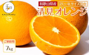 家庭用 森本農園の手選別 大玉清見オレンジ 約7kg 和歌山県産 2L~4Lサイズ混合 ［北海道・沖縄・離島配送不可］［2026年2月上旬から5月中旬頃順次発送予定］［RN101］ 303446_DJ90101