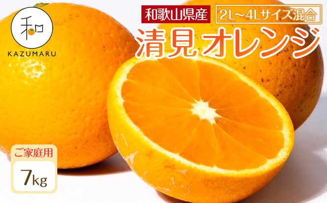 ya̎R쒬zƒp X{_̎I ʐIW 7kg a̎RY 2L~4LTCY mkCEEzsnm2026N2{5{\nmRN101n 303446_DJ90101