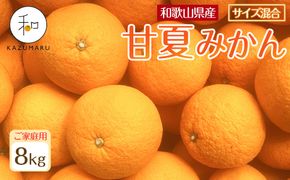 家庭用 森本農園の手選別 甘夏みかん 約8kg 和歌山県産 サイズ混合 ［北海道・沖縄・離島配送不可］［2026年4月上旬から順次発送］［RN71］ 303446_DJ90071