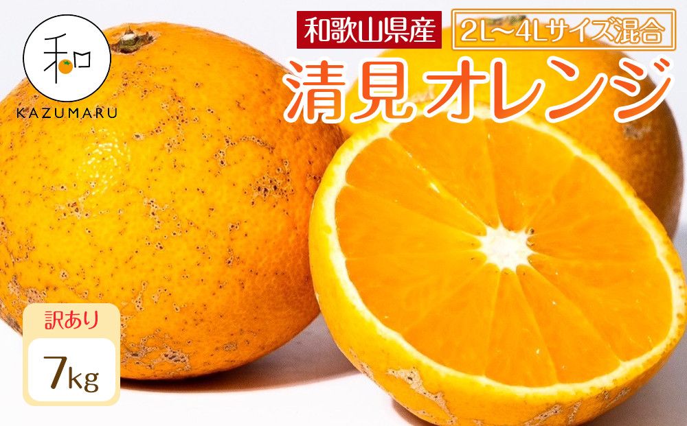 訳あり 森本農園の手選別 大玉清見オレンジ 約7kg 和歌山県産 2L~4Lサイズ混合 [北海道・沖縄・離島配送不可][2026年2月上旬から5月中旬頃順次発送予定][RN103] 303446_DJ90103