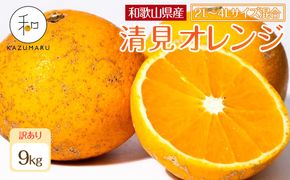 訳あり 森本農園の手選別 大玉清見オレンジ 約9kg 和歌山県産 2L~4Lサイズ混合 ［北海道・沖縄・離島配送不可］［2026年2月上旬から5月中旬頃順次発送予定］［RN104］ 303446_DJ90104